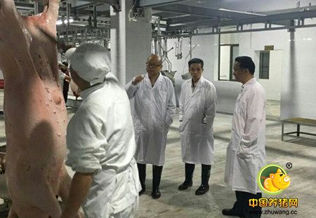 冷水江：实行生猪机械化屠宰 让老百姓吃上放心肉