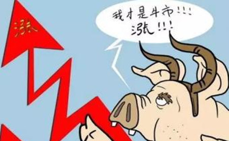 猪价全面开涨,消费高峰已至?