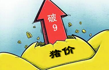 别被猪价大涨晃了眼!感觉不到危险吗?