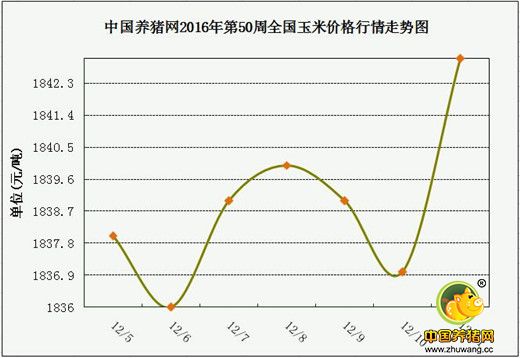 一周综述：目前猪价稳涨，冬至前后风险或来袭？