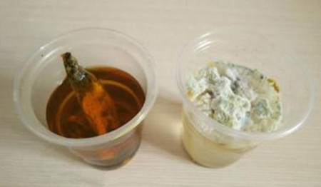 怎样合理使用脱霉产品