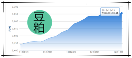 12月13日猪评：屠企收猪困难 全国仅有两个地区行情不佳