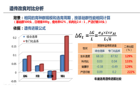 高品质种猪可以为你节约810块钱的饲料陈本？！！！