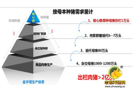 高品质种猪可以为你节约810块钱的饲料陈本？！！！