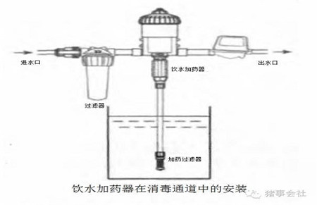 饮水加药器在畜禽养殖行业中的广泛使用