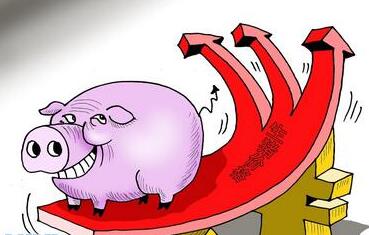 冯永辉:规模养猪场多了,猪价行情波动反而剧烈了?