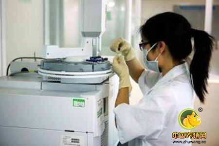 实验室的检测价值及对种猪的价值研究