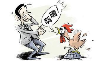 四川发生一起禽流感疫情,确认为H5N6亚型