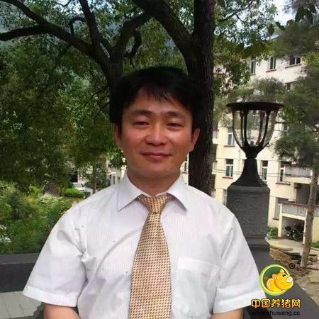 猪掉膘啦！---猪气喘病是怎样给育肥猪“瘦身”的？ 首期“猪兜绎会”直播节目重磅开讲！