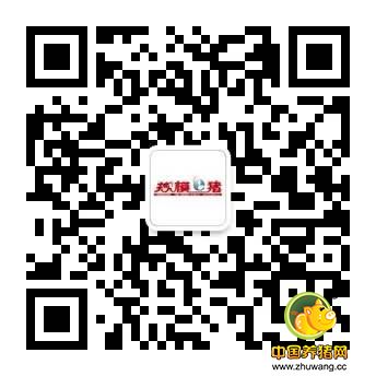 猪掉膘啦！---猪气喘病是怎样给育肥猪“瘦身”的？ 首期“猪兜绎会”直播节目重磅开讲！