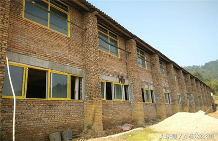农村小伙乡下盖了一栋楼,而楼里住的却全是猪