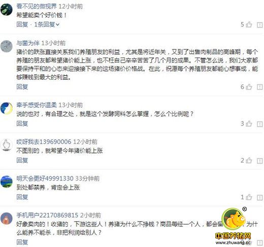 专家：总体来说年前猪价是保持稳定上升趋势的