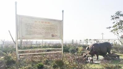 诗人都跨界养猪了?!他吃住在养猪场晚上搞创作