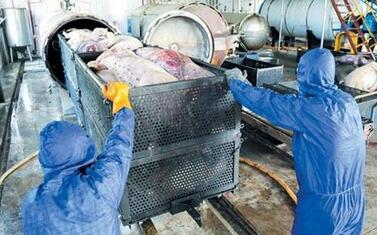 拆猪场获35万补贴，街上再也不见病死猪