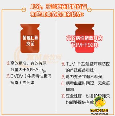 满满的干货！几张图带您秒懂猪蓝耳病-猪瘟二联活疫苗“瑞兰稳”！