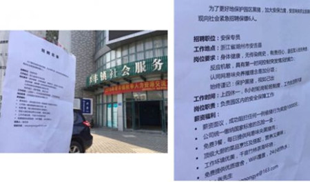 什么样的猪场养出网易未央猪？奖金过万 要求对猪视如己