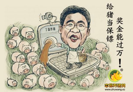 什么样的猪场养出网易未央猪？奖金过万 要求对猪视如己