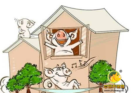 噪音对于猪的伤害是很严重的，如果猪场噪音超过了这个标准那可就危险了！