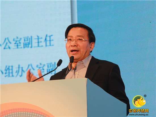 猖獗!边境走私活猪一车非法获利3万块