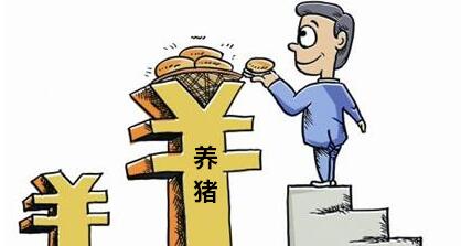 2017年猪价还有的涨