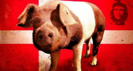 猪2型圆环病毒，继续挑战全球的养猪行业生产