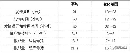 原来这才是提高种猪配种率的关键，您怎么看？