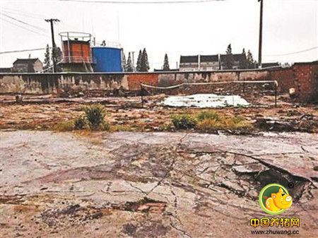 "靖江毒地案"3人被公诉 因养猪场转手而东窗事发