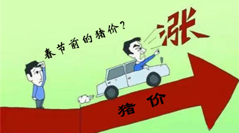 几家欢喜几家愁,2017春节前猪价行情预测!
