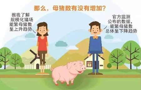 权威解答!农业部4千猪价监测点真不是盖的