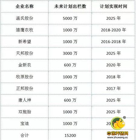 禁养减少生猪存栏3600万头，养猪再赚一年没问题