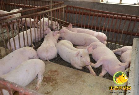 新办养殖场虽然不用审批 但要办理这些证件