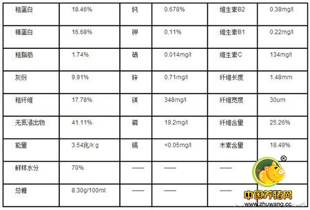 养猪有新招，赚钱就靠皇竹草，降低成本效益高！
