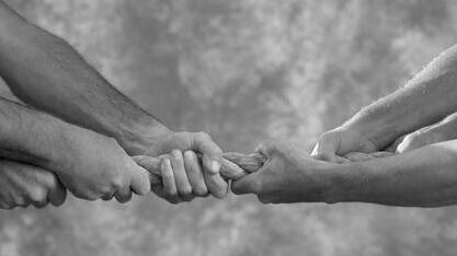 泰州养猪场埋"毒"案提起公诉 涉案企业赔1.9亿