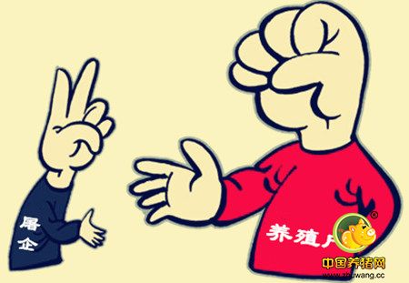 专家：屠企“压价逼量”宣告失败、猪病已进入高发期