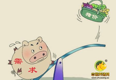 终于等到了！ 市场需求好转猪价将开始新一轮上涨！