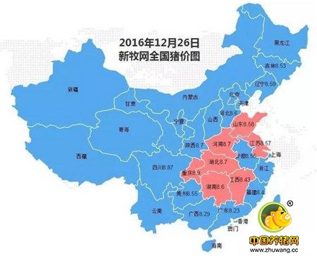 7省猪价上涨迎2017，大猪集中出栏给新年行情留下利好