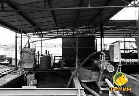 重庆黔江：养猪“养出”葡萄园 粪污处理变有机肥