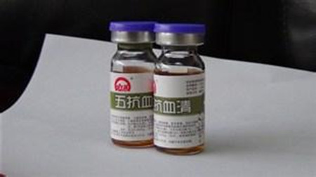 五号病又来了！莫怕，这样治疗才是王道！