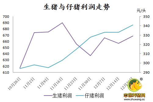 生猪养殖热情不减,二元母猪价格现震荡走势!