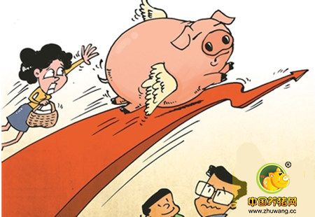 屠宰提量养殖户惜售 供应趋紧猪价短期难降低