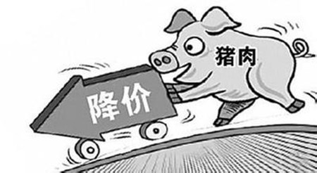 受春节返乡影响，毛猪价格冰火两重天