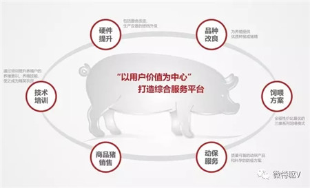 特驱跻身“全国三十强饲料企业”