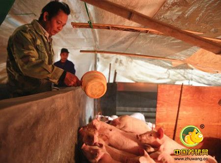 肺癌“废”不了脱贫心 养猪场亦能奔小康