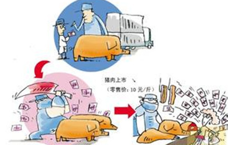 猪肉鲜销需求增加 企业压价力度渐缓和