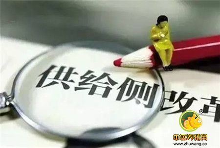 读懂今年才能展望明年 16个词看懂2016年中国农业格局