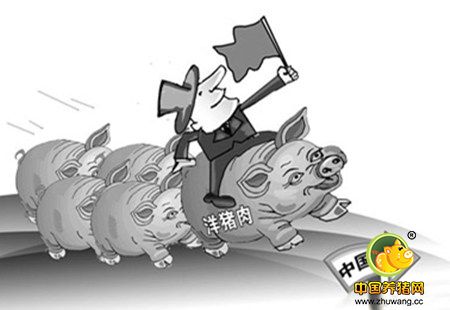 什么？！外国人说明年中国猪肉进口仍将保持纪录高位