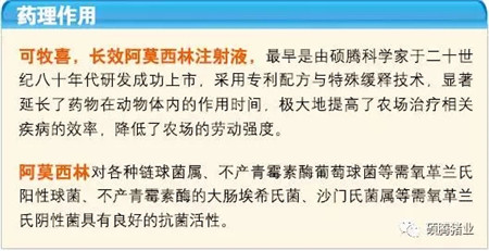 母猪“三联症”的终结者——硕腾“可牧喜”重磅来袭！