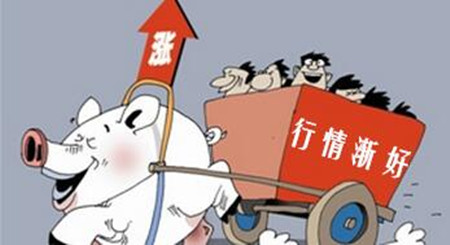 2017年生猪价格后期预测：大体重猪源不多，元旦假期后猪价或震荡下调