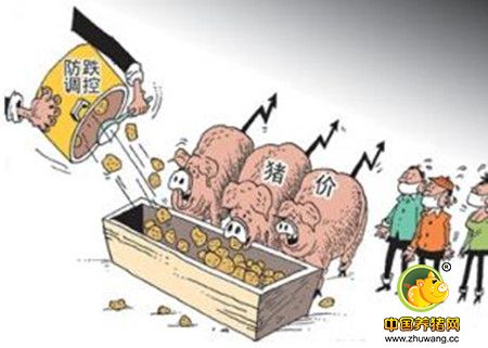 2017年生猪价格专家分析：春节前生猪价格还有可能上涨吗？