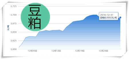 12月30日猪评：惊喜！猪价暴涨 0.12元/公斤